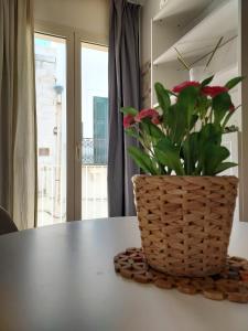 Fotografija v galeriji nastanitve Dimora Trinity - Central Rooms v mestu Polignano a Mare
