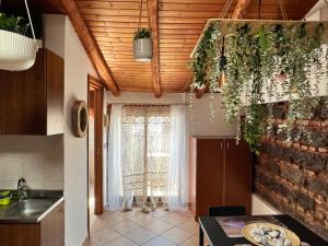 eine Küche mit einem Tisch und einige Pflanzen an der Decke in der Unterkunft petit palais in Catania