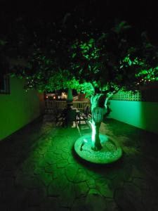 Vonkajšia záhrada v ubytovaní Villa La Deseada
