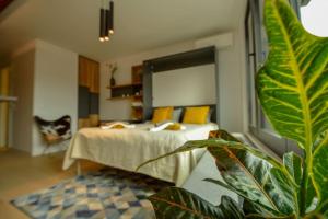 Un dormitorio con una cama y una planta en maceta. en STUDIO K district (central BG+private parking), en Belgrado