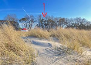 a sandy path through a field of tall grass at MEERBLICK-MAISONETTE Ostseebad Kühlungsborn in Kühlungsborn