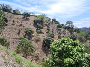 Gallery image of Finca de descanso SaraMari in Viotá