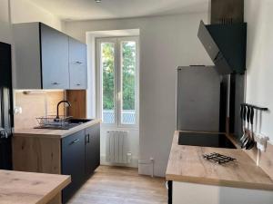 a kitchen with a sink and a counter top at Les Rives du Château in Châteauroux