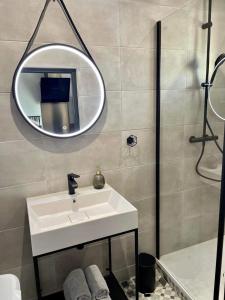 a bathroom with a white sink and a mirror at Les Rives du Château in Châteauroux