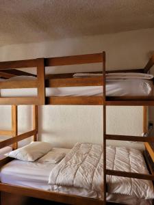 two bunk beds in a dorm room with a bed at Desert Heart Hostel in San José del Cabo