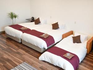 Postel nebo postele na pokoji v ubytování LiVEMAX RESORT Jogasaki Kaigan