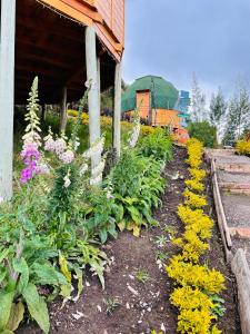 Glamping Domos del Lago外面的花园