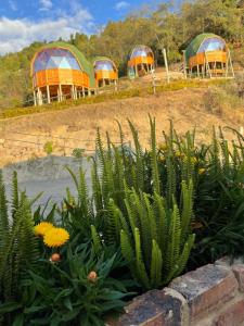 Glamping Domos del Lago外面的花园