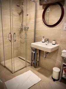 a bathroom with a shower and a sink at Harfa Apartment 30 in Prague