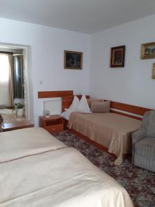 ein Hotelzimmer mit zwei Betten und einem Stuhl in der Unterkunft Pensiunea Floare de Colt in Sinaia