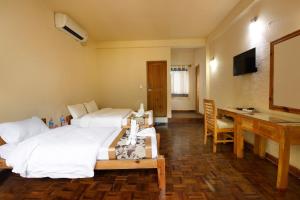 Uma televisão e/ou sistema de entretenimento em Chitwan Paradise Hotel