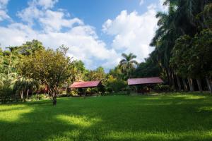 Um jardim no exterior de Chitwan Paradise Hotel