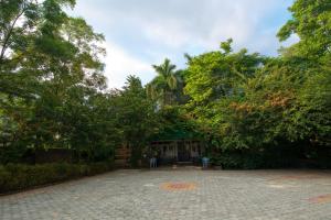 Um jardim no exterior de Chitwan Paradise Hotel