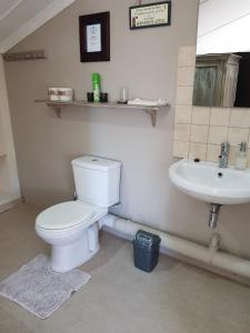 y baño con aseo y lavamanos. en Bethel B&B / Selfcatering en George