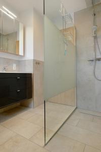 a bathroom with a shower with a glass door at Kleine-Eifel-Auszeit in Hambuch
