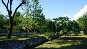 Vonkajšia záhrada v ubytovaní KAVET Palio Cottage