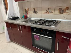 シビウにあるGarsoniera Nataliaのコンロとシンクのあるキッチン