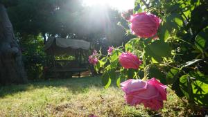 Vonkajšia záhrada v ubytovaní KAVET Palio Cottage