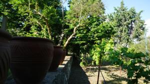 Vonkajšia záhrada v ubytovaní KAVET Palio Cottage