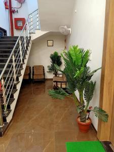 un couloir avec un escalier et une plante en pot dans l'établissement Sun Stone Hotel & Club - Jawai, à Sheoganj