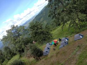 un gruppo di animali su una collina con un ombrello di Janardan Studio Hotel Kausani a Kausani