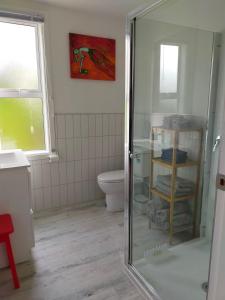 a bathroom with a toilet and a glass shower at Relax in Kenmure in Dunedin