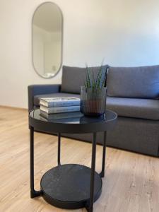 a black coffee table with books and a plant on it at Astos Vila in Palanga