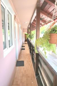 a corridor of a building with windows and plants at Casa Luminita in Brezoi