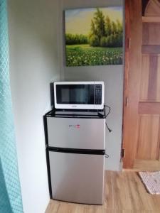 a microwave oven sitting on top of a refrigerator at Shambala Paradise in Siquijor