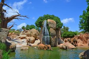a herd of elephants in the water near a waterfall at BioHomeValencia in Valencia +25 photos