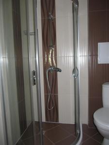 Rayski zalez في بوموري: كابينة دش في حمام مع مرحاض