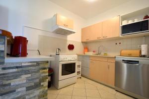 Kuchyň nebo kuchyňský kout v ubytování Apartment Lucy