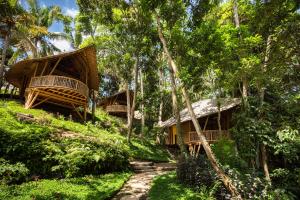 um grupo de cabanas de bambu na floresta em Bamboo Turtles Ecolodge em Ubud