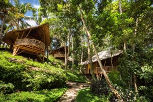 a group of bamboo huts in the forest at Bamboo Turtles Ecolodge in Ubud