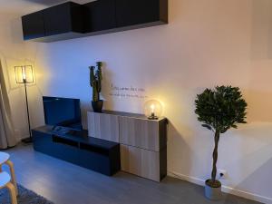 a living room with a tv and a plant at GOLD COCOON T3 74m2 proche centre ville in Villejust
