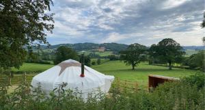 uma tenda branca num campo com uma cerca em The Yurt @ Osmore em Axminster
