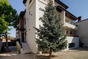 Un árbol de Navidad delante de un edificio en Pensiunea Casa Sturza, en Bacău