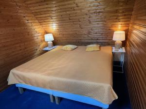 a bed in a wooden room with two lamps at Ubytování Čeladná in Čeladná