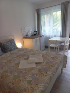 Postel nebo postele na pokoji v ubytování Dom Gościnny u Doroty