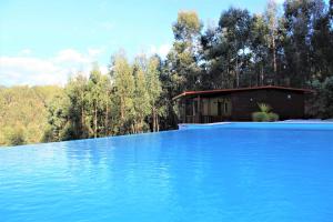 a house with a swimming pool in front of a forest at Recanto do Escalheiro in Vieira do Minho