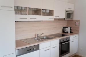Kuchyň nebo kuchyňský kout v ubytování Apartment Falamingo Velden + 7 fotografií