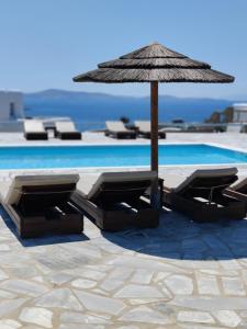 a group of chairs and an umbrella next to a pool at Sofia's Bungalows Mykonos in Mikonos