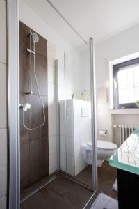 a bathroom with a shower and a toilet and a sink at Ferienwohnung Wäller Sonnenschein in Westerburg