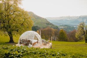 a igloo in a field with mountains in the background at Bubble-Suite in Graubünden in Versam