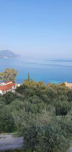 a view of the ocean from the top of a hill at Olga's Apartments in Ágios Dimítrios
