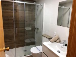 a bathroom with a shower and a toilet and a sink at Alameda in Jaca