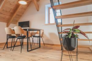 TV a/nebo společenská místnost v ubytování Apartmány Pod Jelenkou