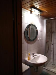 ein Bad mit einem Waschbecken, einem Spiegel und einer Dusche in der Unterkunft Rieger FW 3 in Eckernförde
