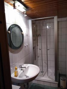 エッカーンフェルデにあるRieger FW 3のバスルーム(シンク、鏡付きシャワー付)