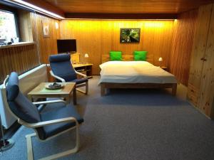 ein Schlafzimmer mit einem Bett, 2 Stühlen und einem TV in der Unterkunft Rieger FW 3 in Eckernförde